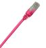 lead ccs c5e utp booted 10m pink